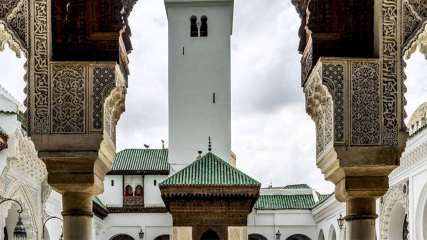 جامعة النجف