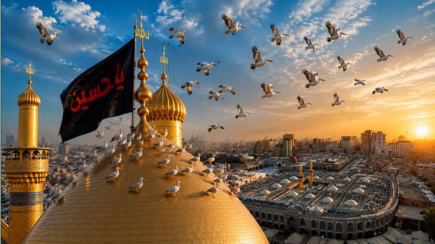 سرب من طيور البجع المهاجرة يحلق فوق القبة الذهبية لمرقد الإمام الحسين في كربلاء